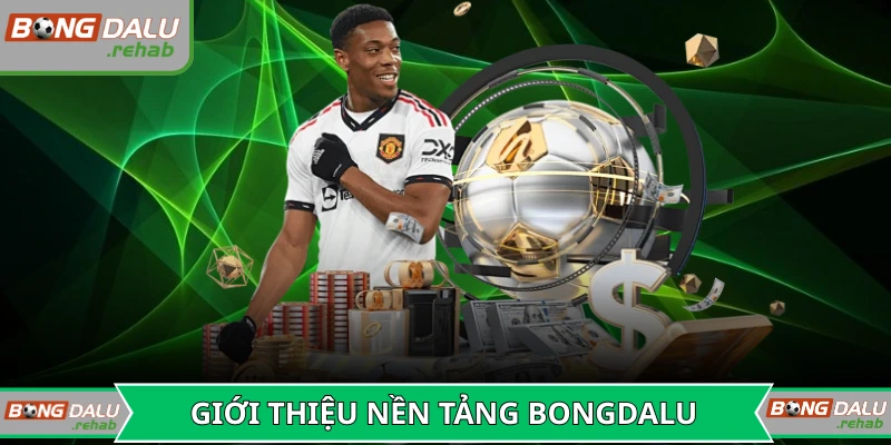 Đôi nét về trang chuyên thể thao tại Bongdalu