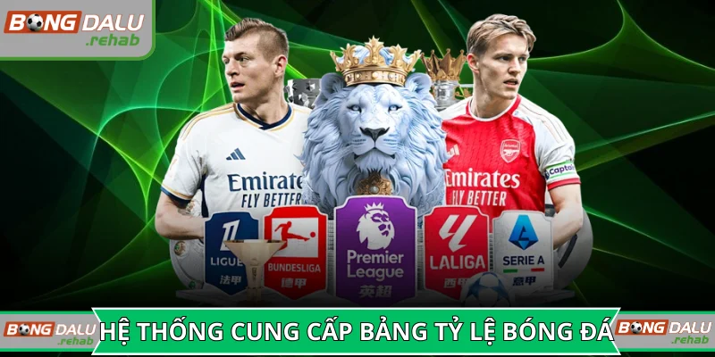 Hệ thống cung cấp bảng tỷ lệ bóng đá nhanh